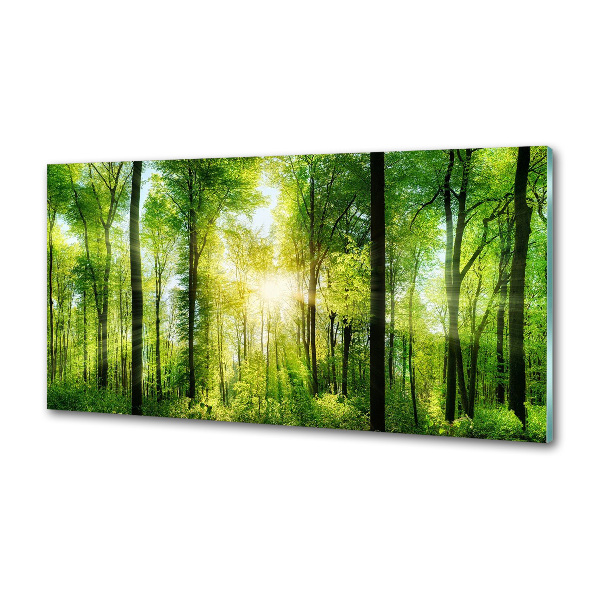 Panneaux muraux cuisine Forêt au soleil