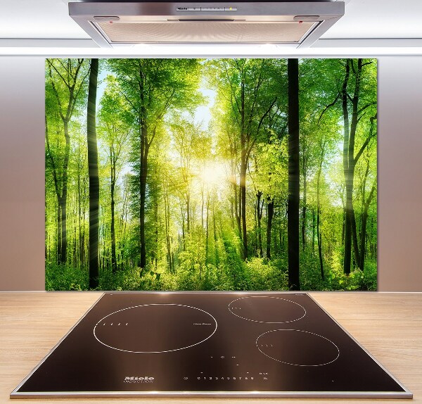 Panneaux muraux cuisine Forêt au soleil