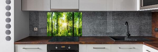 Panneaux muraux cuisine Forêt au soleil