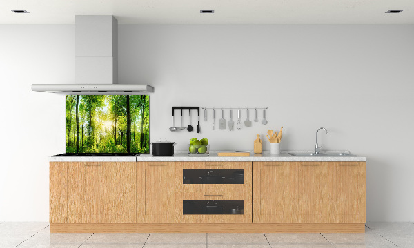 Panneaux muraux cuisine Forêt au soleil