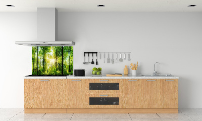 Panneaux muraux cuisine Forêt au soleil