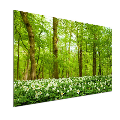 Crédence en verre cuisine Fleurs en forêt