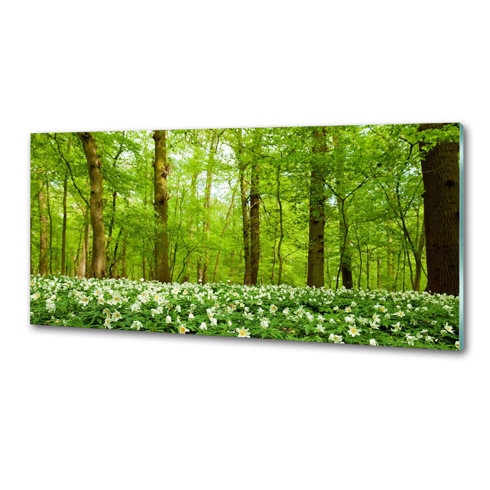 Crédence en verre cuisine Fleurs en forêt