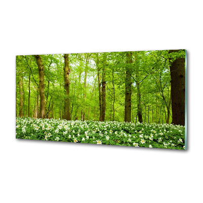 Crédence en verre cuisine Fleurs en forêt