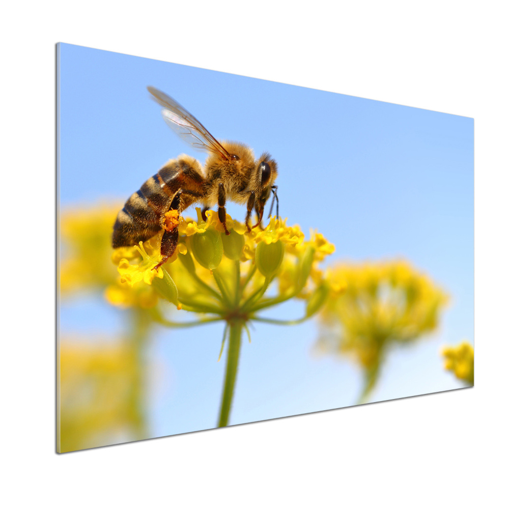 Crédence en verre cuisine Une abeille sur une fleur