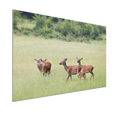 Panneau pour cuisine Cerf avec ses petits