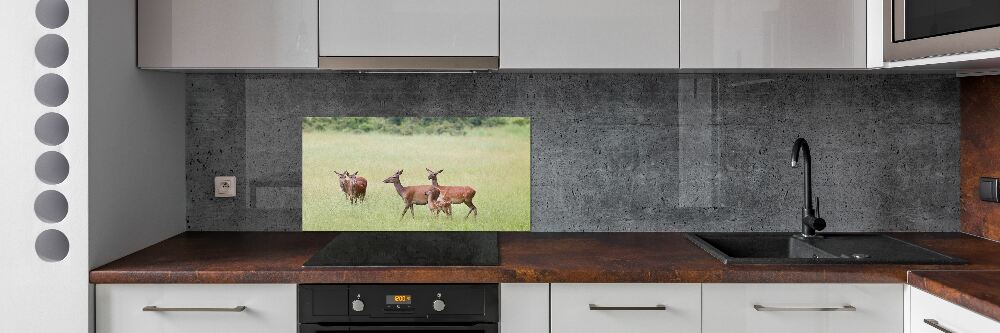 Panneau pour cuisine Cerf avec ses petits