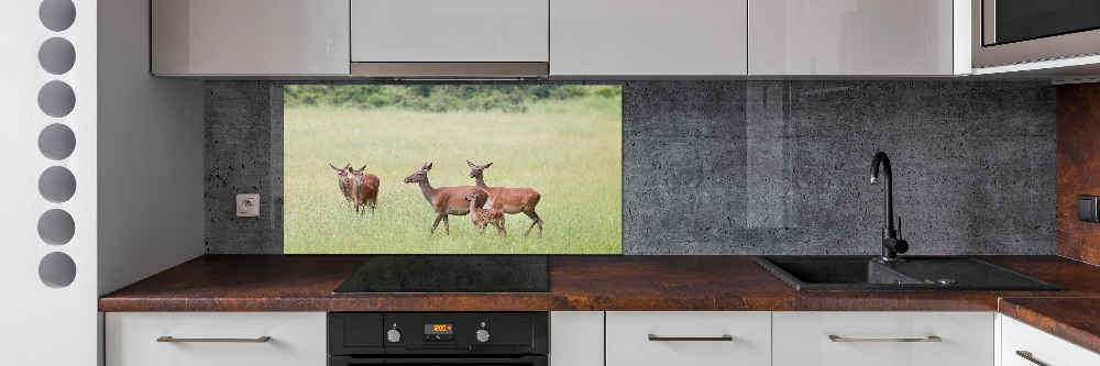 Panneau pour cuisine Cerf avec ses petits