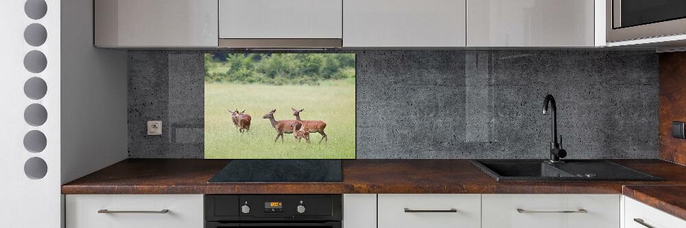 Panneau pour cuisine Cerf avec ses petits