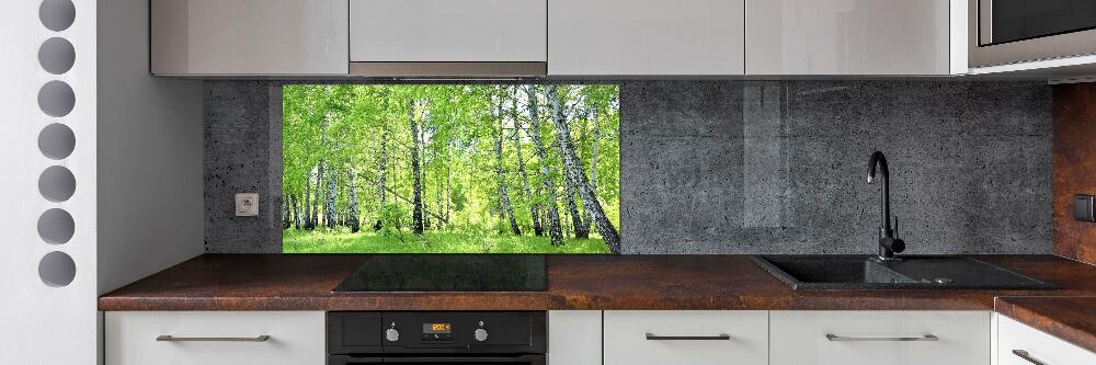 Crédence de cuisine en verre Forêt de bouleaux