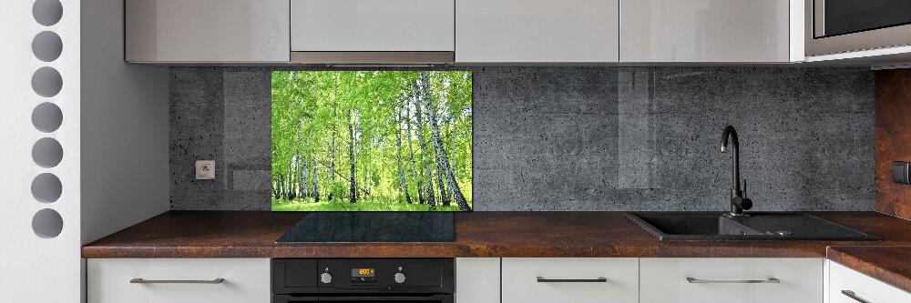 Crédence de cuisine en verre Forêt de bouleaux