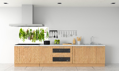 Crédence de cuisine en verre Herbes sur ficelle