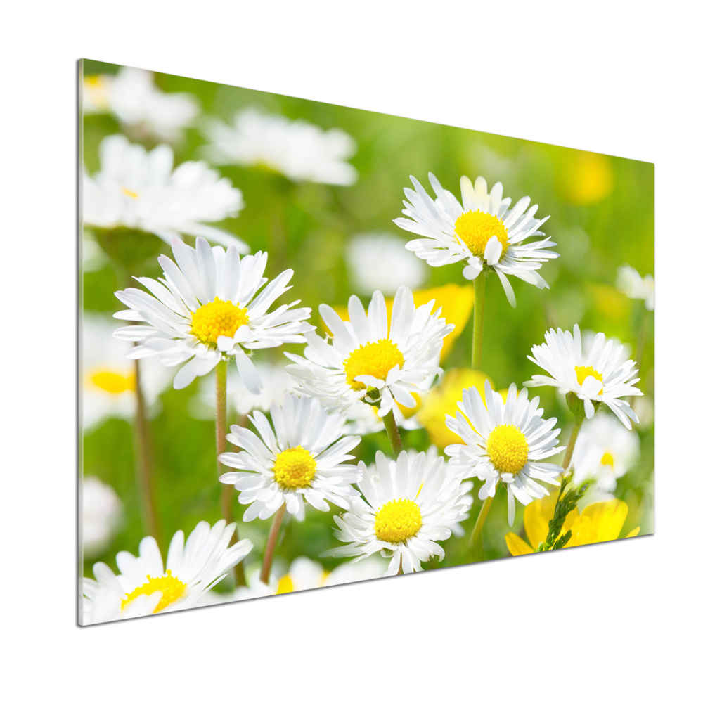 Crédence de cuisine en verre Marguerites