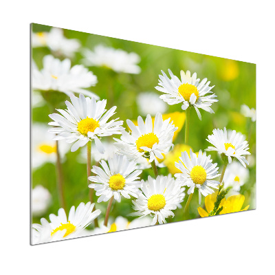 Crédence en verre avec motif marguerites