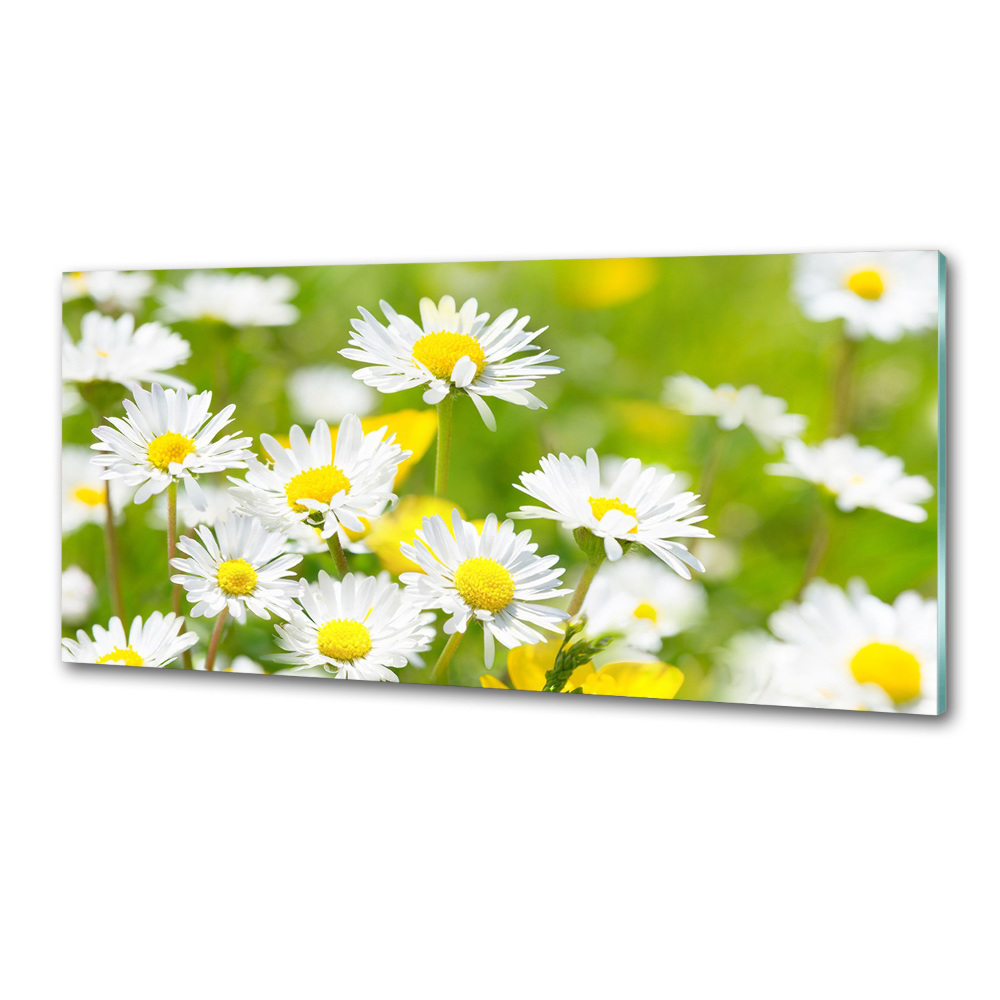 Crédence en verre avec motif marguerites