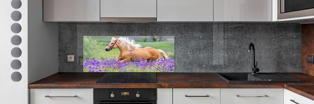 Crédence en verre cuisine Cheval dans un champ de lavande