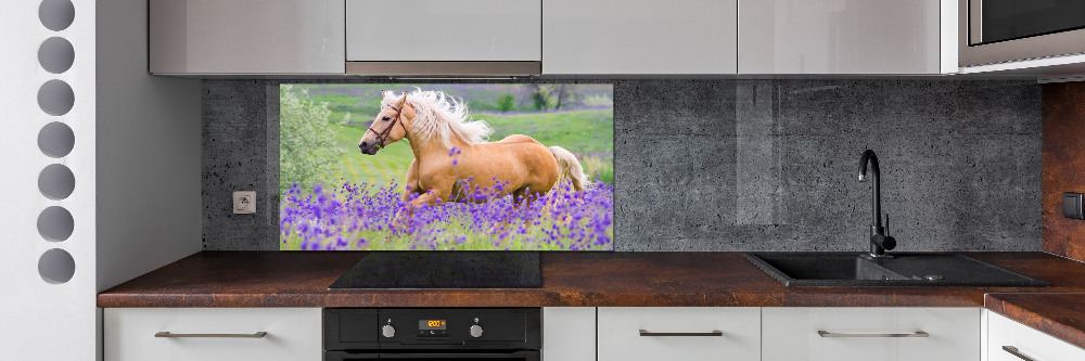 Crédence en verre cuisine Cheval dans un champ de lavande