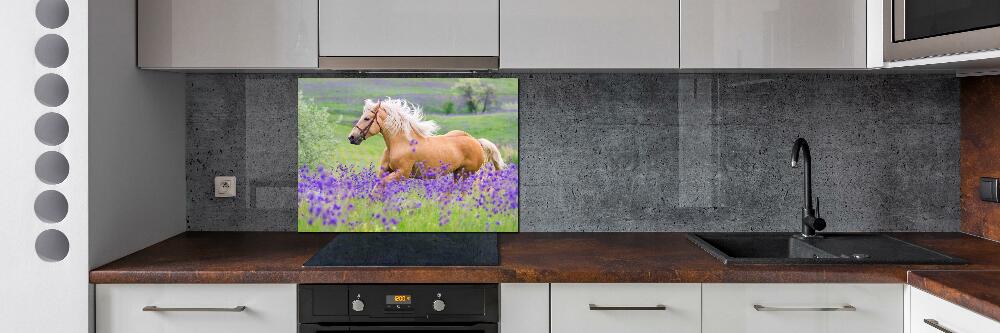 Crédence en verre cuisine Cheval dans un champ de lavande