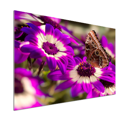 Crédence de cuisine en verre Papillon sur une fleur