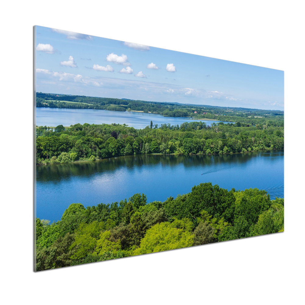 Crédence en verre trempé Forêt de bord de lac