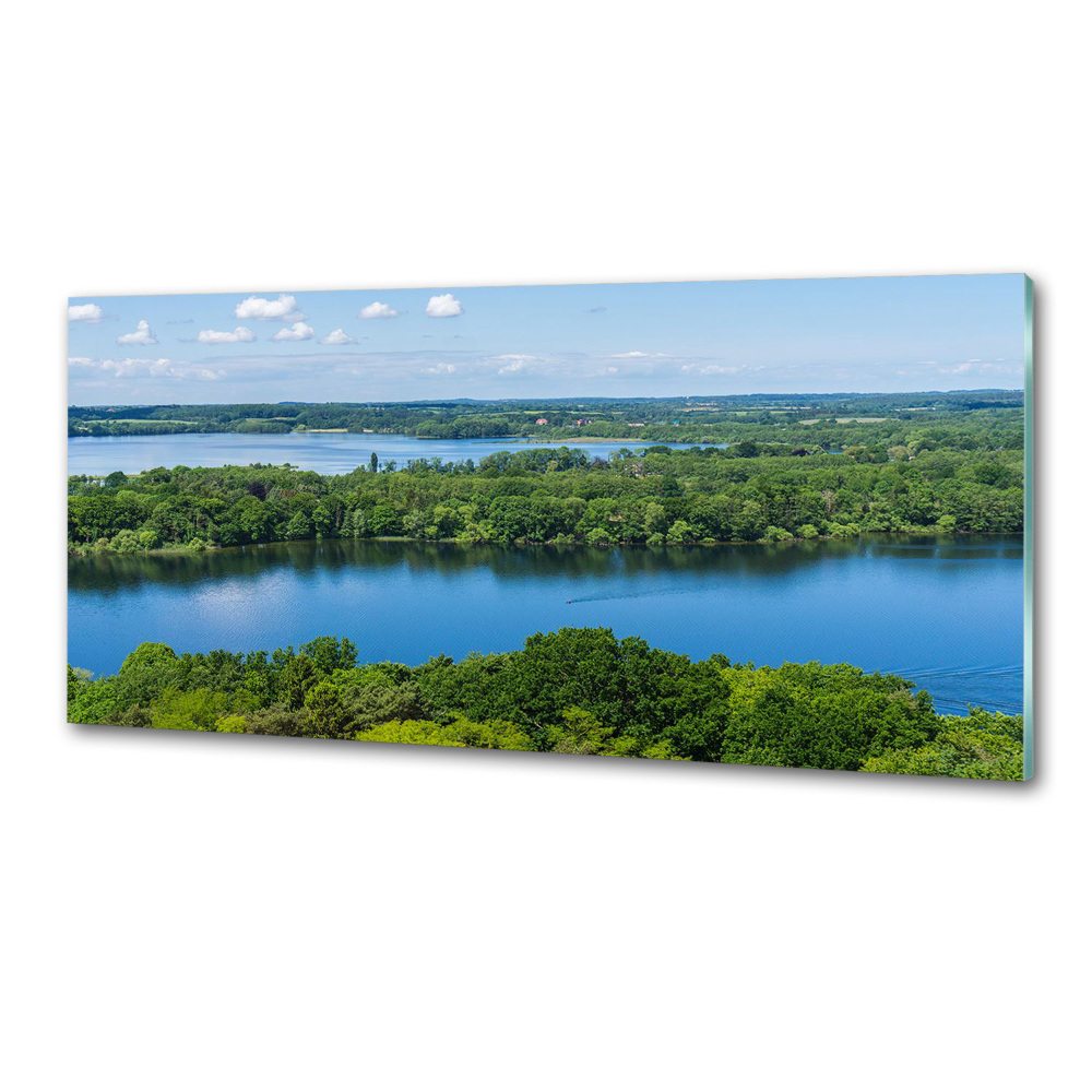 Crédence en verre trempé Forêt de bord de lac