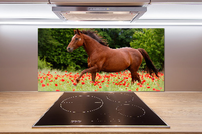 Crédence cuisine en verre trempé Cheval dans un champ de coquelicots