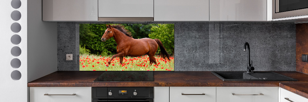 Crédence cuisine en verre trempé Cheval dans un champ de coquelicots