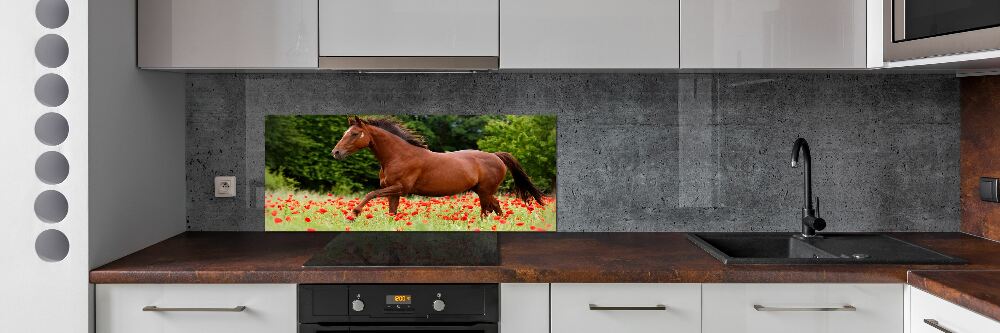 Crédence cuisine en verre trempé Cheval dans un champ de coquelicots