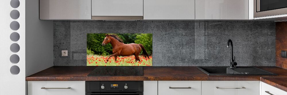 Crédence cuisine en verre trempé Cheval dans un champ de coquelicots