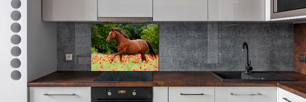 Crédence cuisine en verre trempé Cheval dans un champ de coquelicots