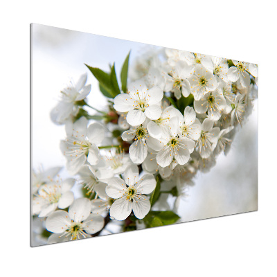 Panneau pour cuisine Fleurs de cerisier