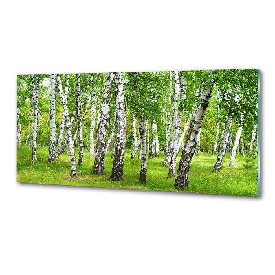 Crédence cuisine en verre Forêt de bouleaux