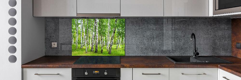 Crédence cuisine en verre Forêt de bouleaux