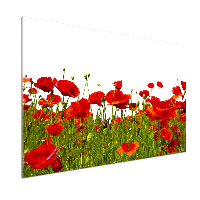 Verre pour crédence Coquelicots des champs