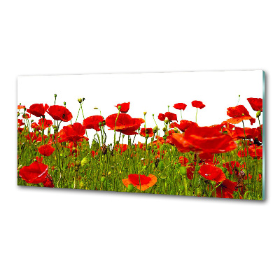 Verre pour crédence Coquelicots des champs