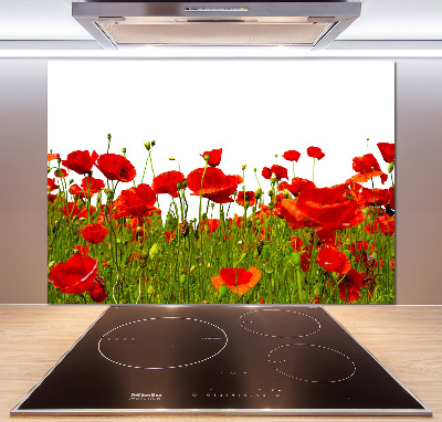 Verre pour crédence Coquelicots des champs