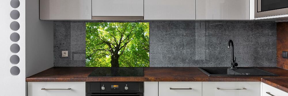 Crédence cuisine en verre Forêt verte