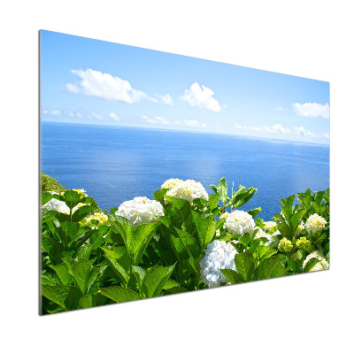 Crédence en verre trempé Fleurs au bord de la mer