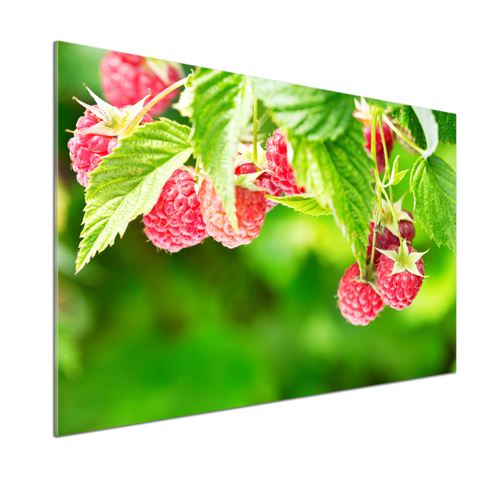 Panneau crédence cuisine Framboises dans le jardin