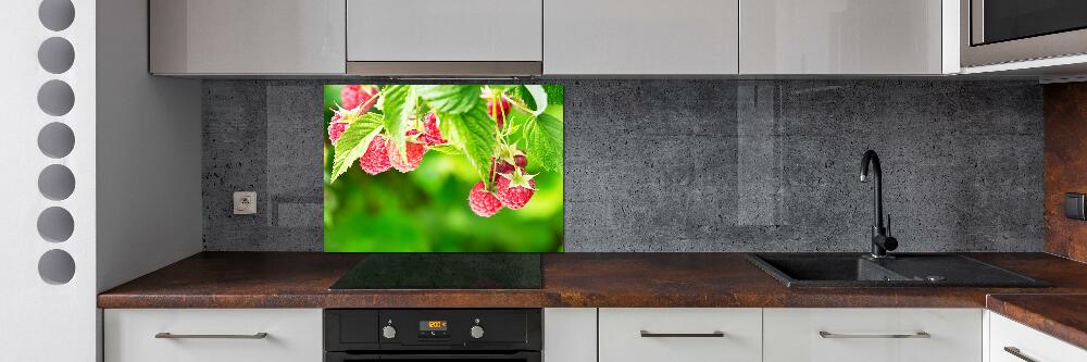 Panneau crédence cuisine Framboises dans le jardin