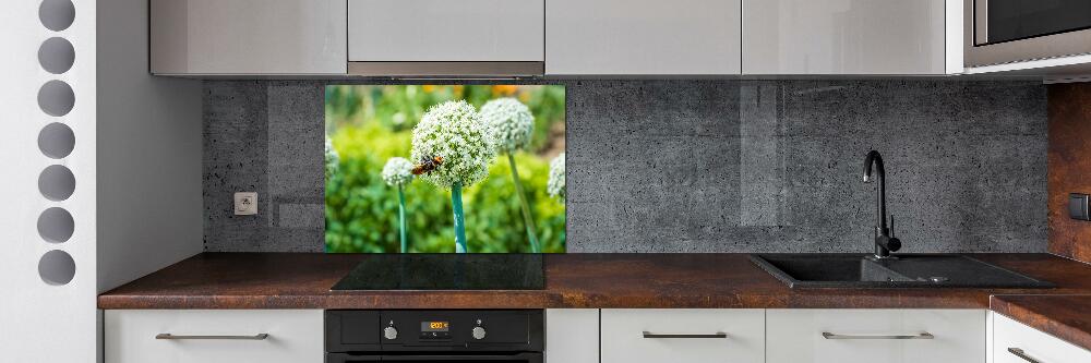 Panneau crédence cuisine Ail en fleur