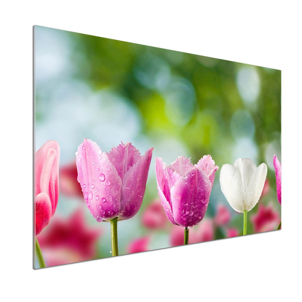 Crédence en verre avec motif Tulipes