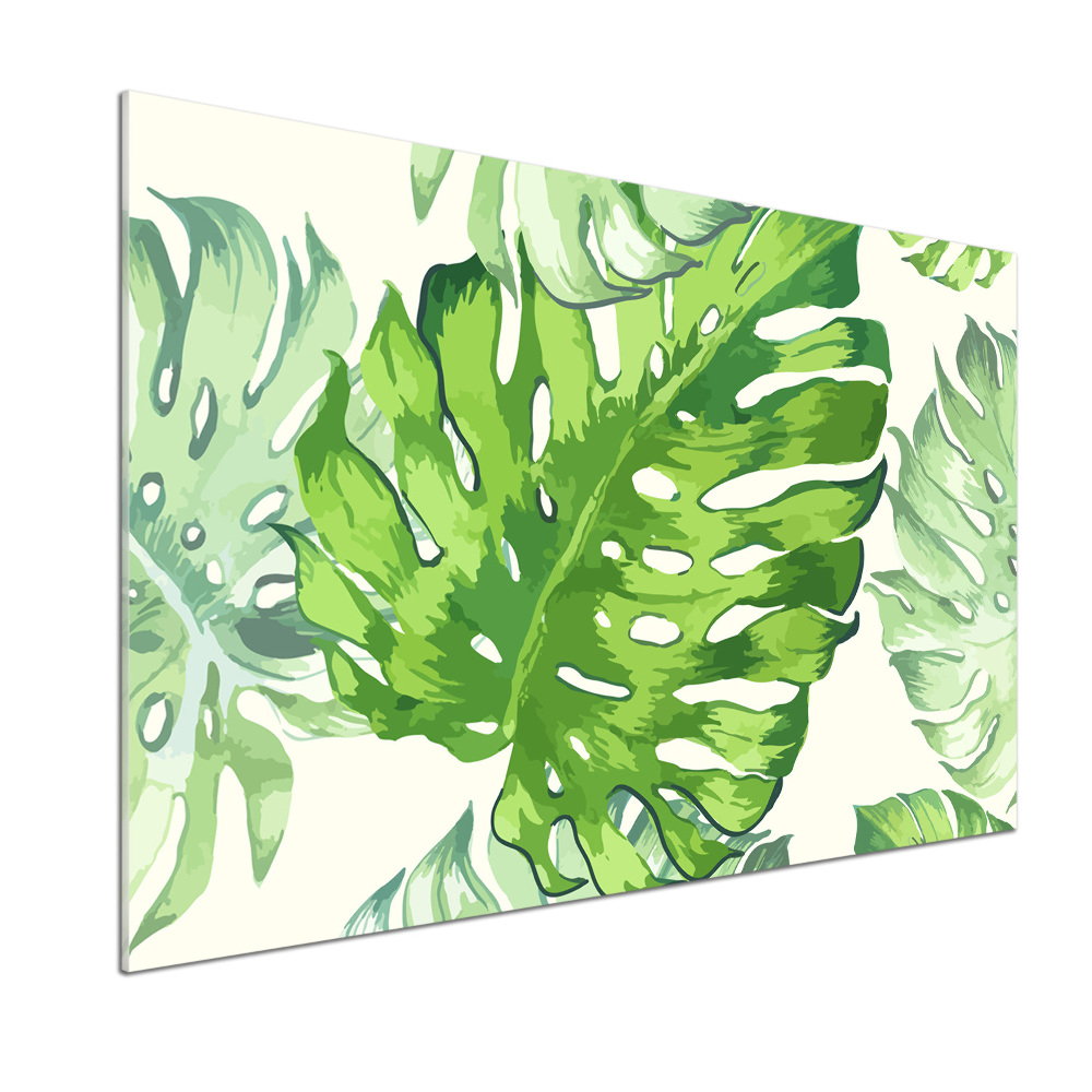 Panneau crédence cuisine Feuilles tropicales monstera