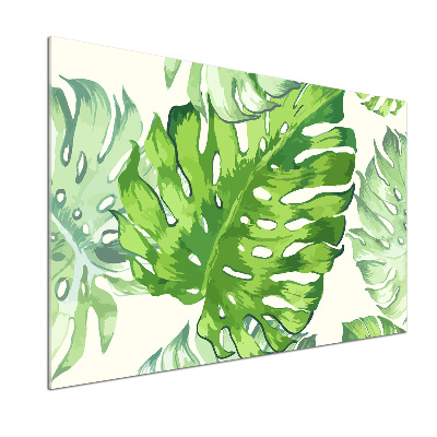 Panneau crédence cuisine Feuilles tropicales monstera