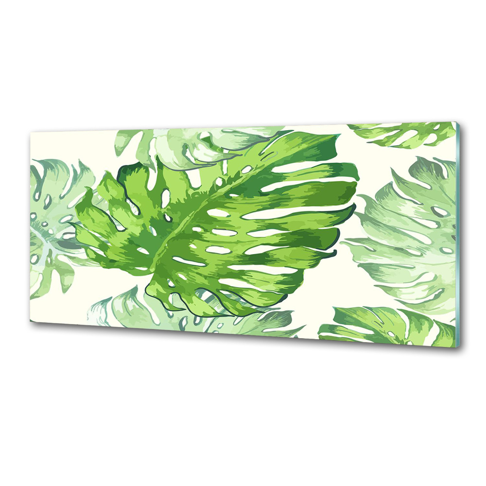 Panneau crédence cuisine Feuilles tropicales monstera