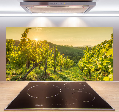 Panneau pour cuisine Vignobles