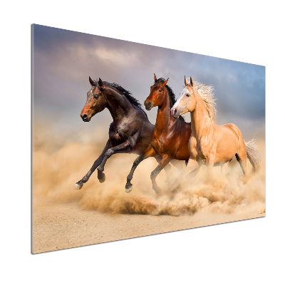 Panneau crédence cuisine Chevaux de marche
