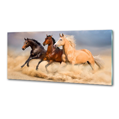 Panneau crédence cuisine Chevaux de marche