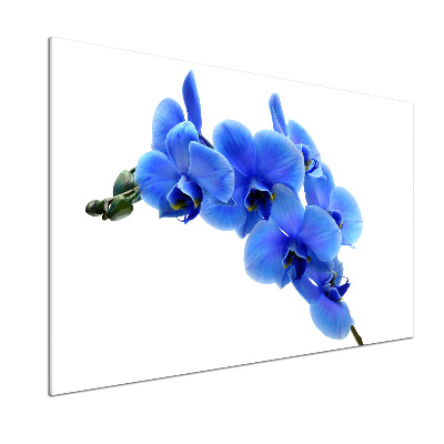 Crédence en verre Orchidée bleue