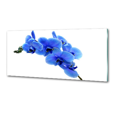 Crédence en verre Orchidée bleue